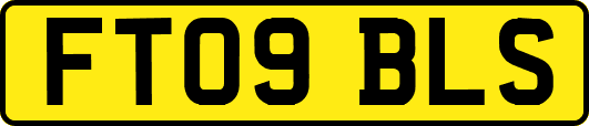 FT09BLS