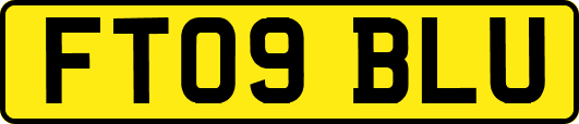 FT09BLU