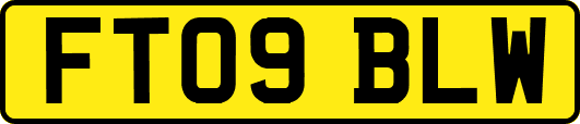 FT09BLW