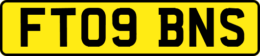 FT09BNS