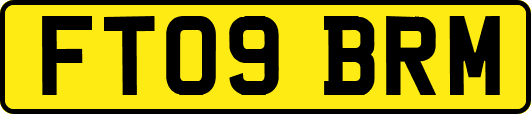 FT09BRM