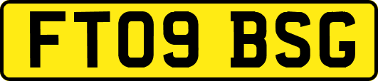 FT09BSG