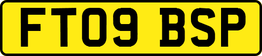 FT09BSP