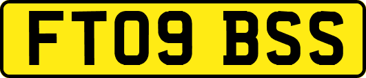 FT09BSS