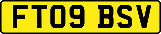 FT09BSV