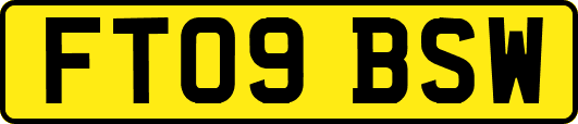 FT09BSW
