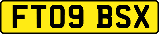 FT09BSX