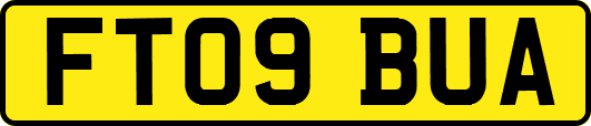 FT09BUA