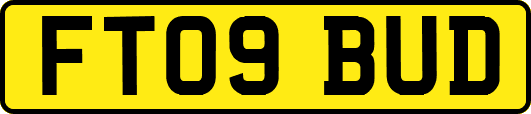 FT09BUD