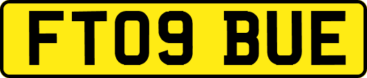 FT09BUE