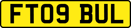FT09BUL