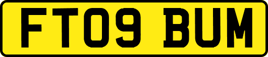 FT09BUM