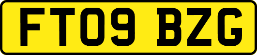 FT09BZG
