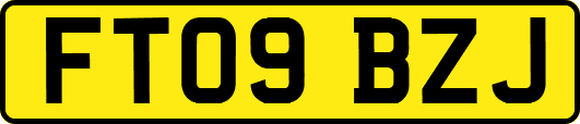 FT09BZJ