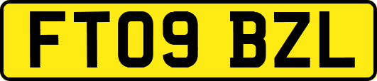 FT09BZL