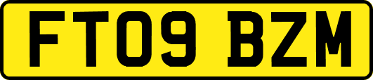 FT09BZM