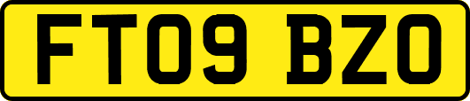 FT09BZO