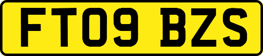 FT09BZS