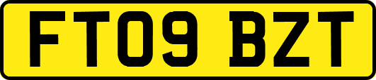 FT09BZT
