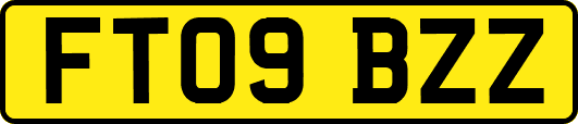 FT09BZZ