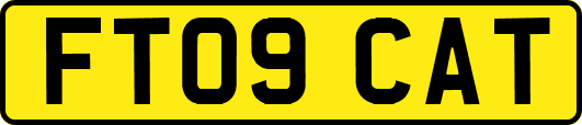 FT09CAT