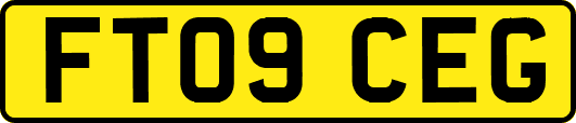 FT09CEG