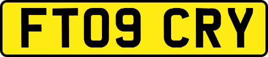 FT09CRY