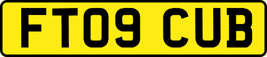 FT09CUB