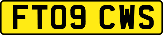 FT09CWS