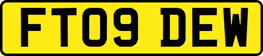 FT09DEW