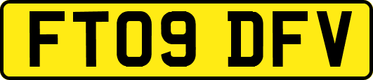 FT09DFV