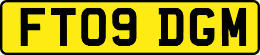 FT09DGM