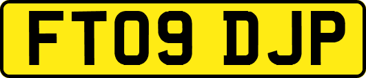 FT09DJP