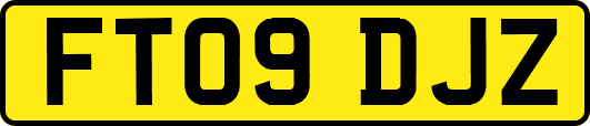 FT09DJZ