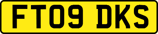 FT09DKS