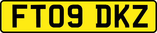 FT09DKZ