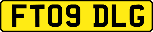FT09DLG