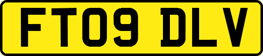 FT09DLV