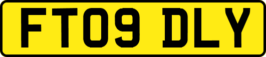 FT09DLY