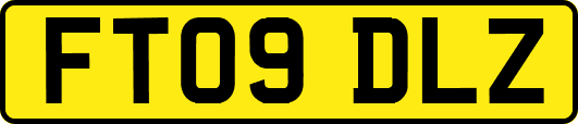 FT09DLZ