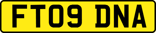 FT09DNA