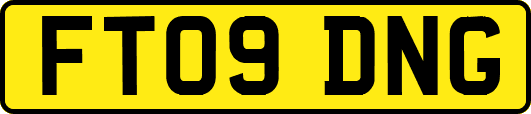 FT09DNG