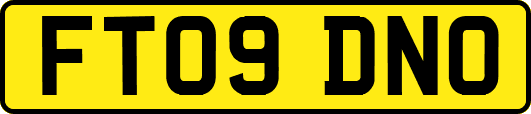 FT09DNO