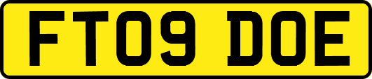 FT09DOE
