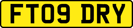 FT09DRY