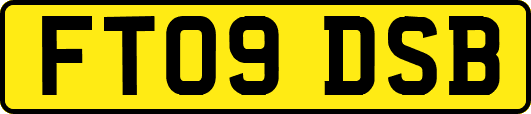 FT09DSB
