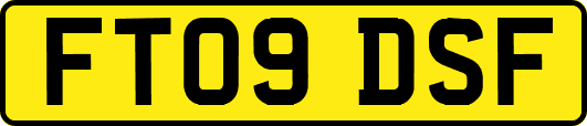 FT09DSF