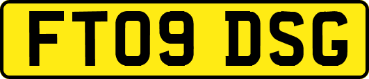 FT09DSG