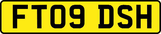 FT09DSH