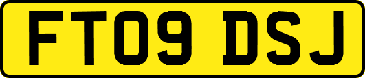 FT09DSJ